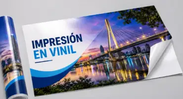 Vinil